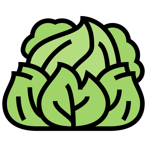 Cabbage icon