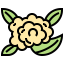 Cauliflower アイコン 64x64