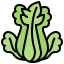 Celery icon 64x64