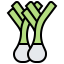 Leek icon 64x64