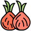 Onion icon 64x64