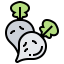 Radish icon 64x64