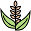 Rice icon 64x64