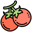Tomato icon 64x64