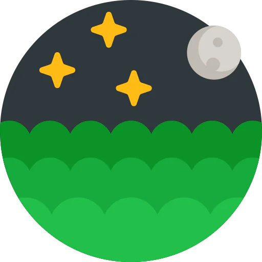 Night icon