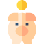 Piggy bank icon 64x64