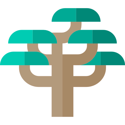 Cedar icon