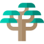 Cedar icon 64x64