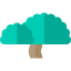 Olive icon 64x64