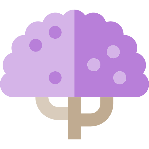 Jacaranda icon