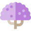 Jacaranda icon 64x64