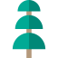 Pine icon 64x64