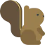 Squirrel icon 64x64