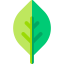 Leaf icon 64x64