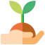 Sprout icon 64x64