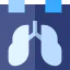 X ray icon 64x64