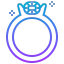 Ring icon 64x64