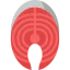 Sashimi icon 64x64