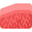 Wagyu icon 64x64