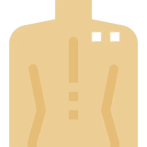 Back icon