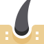 Hair icon 64x64