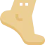 Ankle icon 64x64