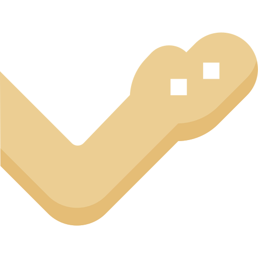 Arm icon