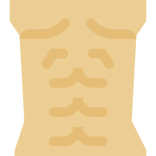 Abs icon