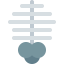 Rib cage іконка 64x64