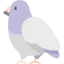 Pigeon icon 64x64