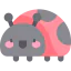 Ladybug 图标 64x64