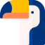 Toucan icône 64x64