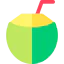 Coconut drink icon 64x64
