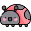 Ladybug 图标 64x64
