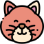 Cat icon 64x64