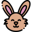 Rabbit icon 64x64