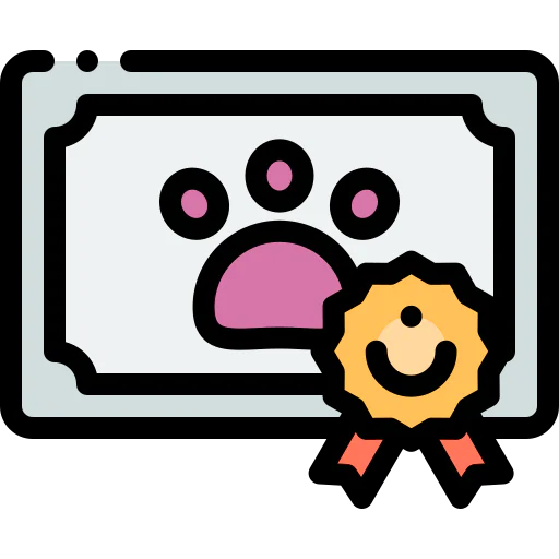 Certificate icon