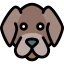 Dog icon 64x64