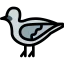 Dove icon 64x64