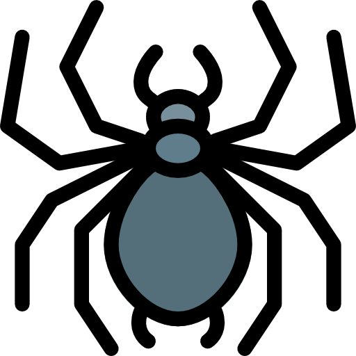 Spider icon