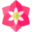 Amaryllis icon 64x64