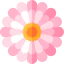 Aster icon 64x64