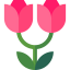 Rose icon 64x64