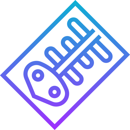 X ray icon