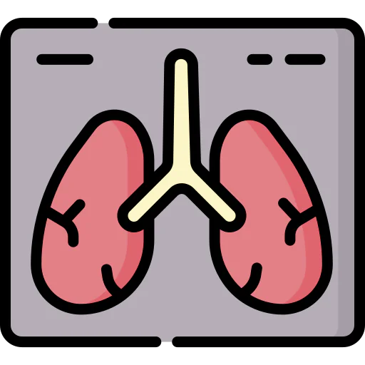 X ray icon