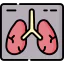 X ray アイコン 64x64