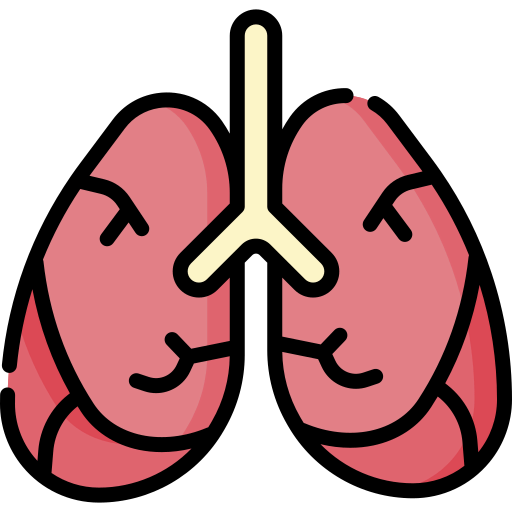 Lungs icon