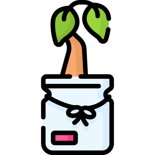 Sprout icon