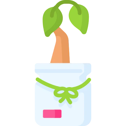 Sprout icon