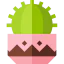 Cactus icon 64x64